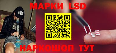 прущие грибы Славгород